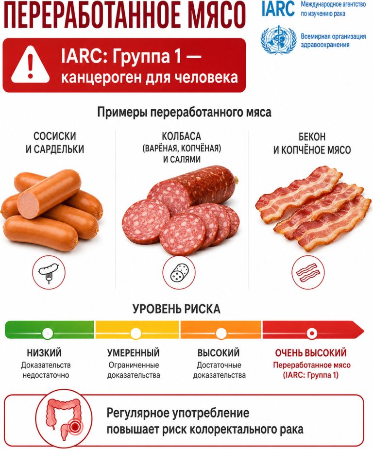 медицинская инфографика,
переработанное мясо (сосиски, колбаса, бекон),
шкала риска от зелёного к красному,
отметка “IARC Group 1 carcinogen”,
стиль ВОЗ, минимализм, белый фон, русский язык