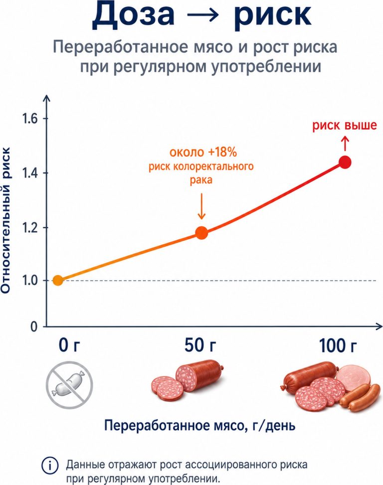 “доза → риск”</p> <p><b>Промт:</b> график зависимости: 0–50–100 г переработанного мяса → рост риска