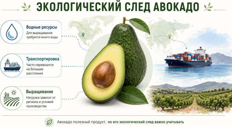 «экологический след авокадо», авокадо на фоне карты мира, водная капля, грузовой корабль, фермерское поле